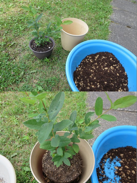 ファイル 1-2.jpg