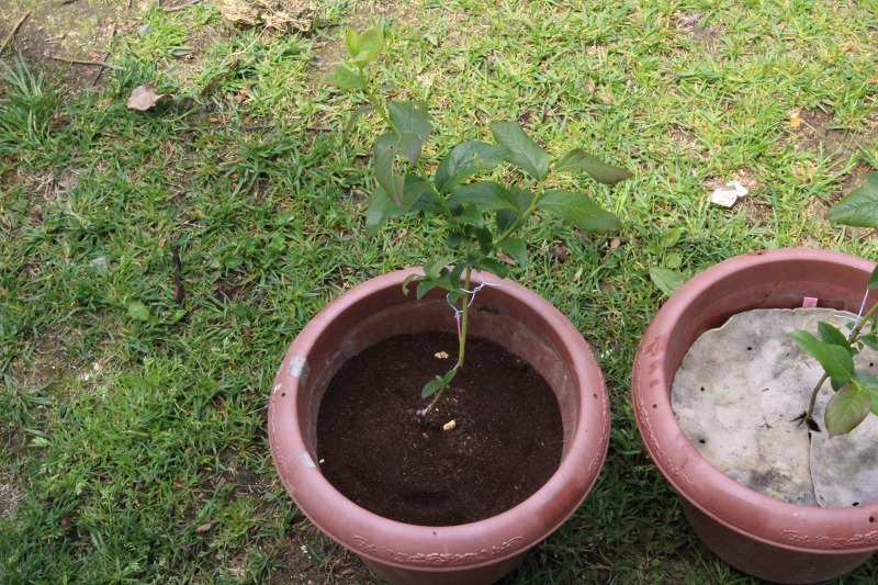 ファイル 102-1.jpg