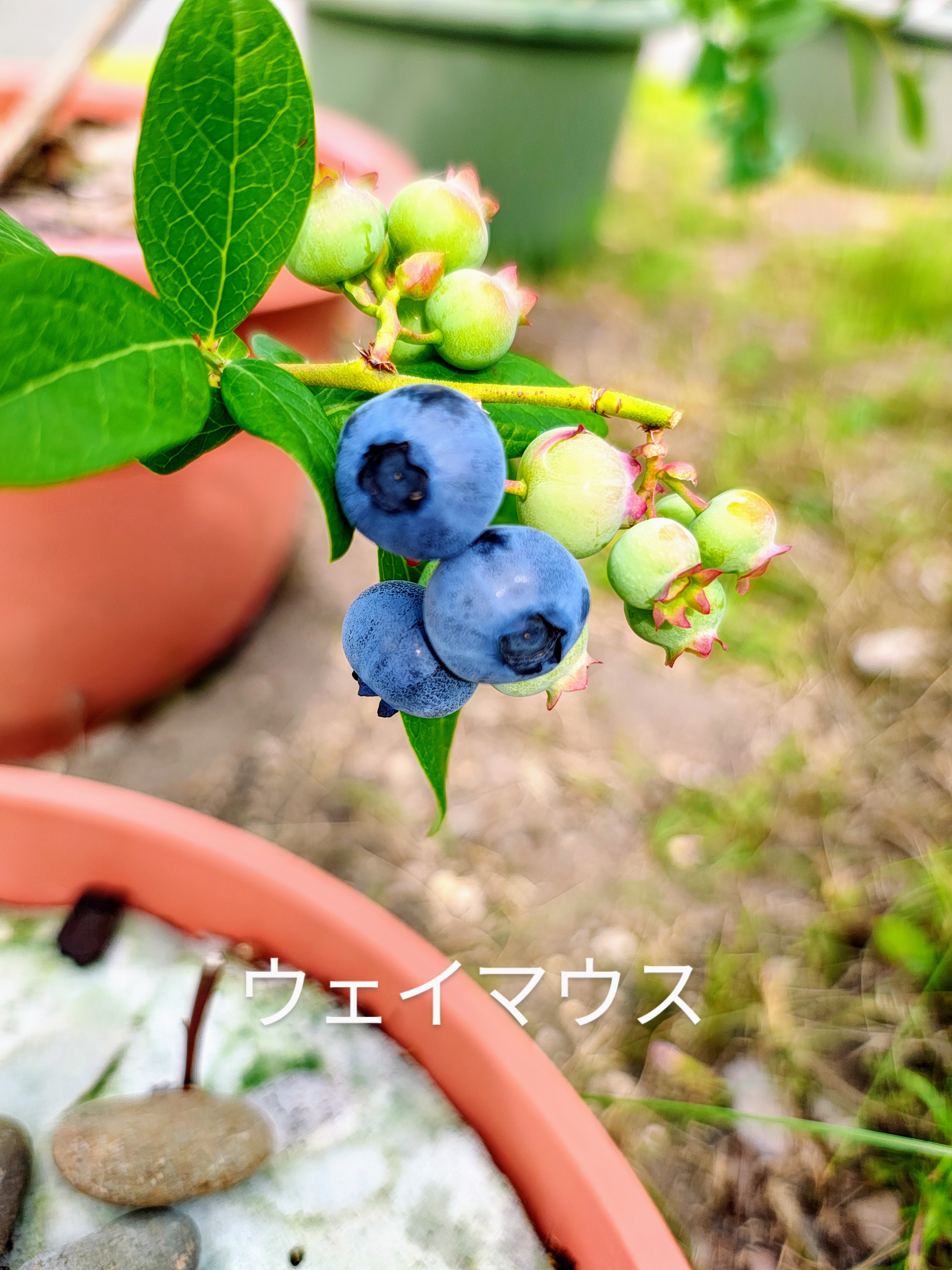 ファイル 107-2.jpg