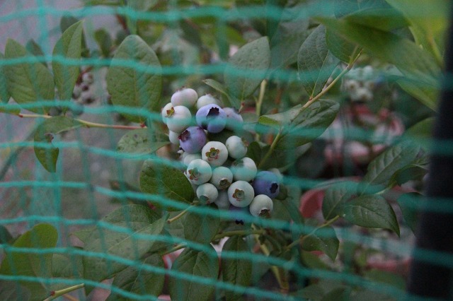 ファイル 108-3.jpg