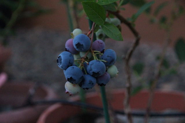 ファイル 108-5.jpg