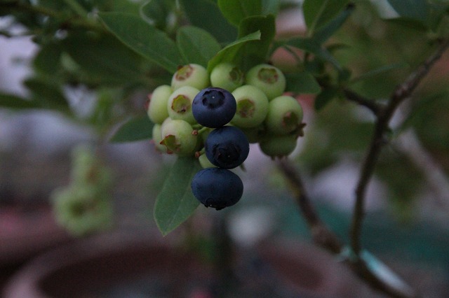 ファイル 108-6.jpg