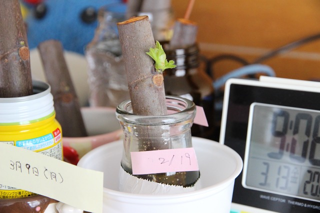 ファイル 119-1.jpg