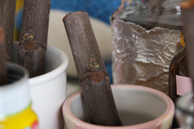 ファイル 119-4.jpg