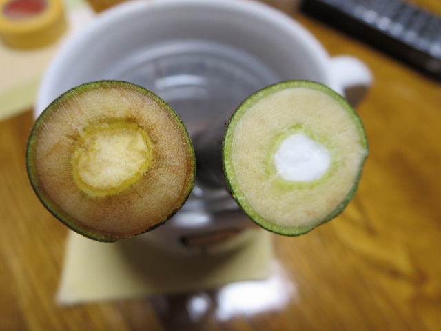 ファイル 119-5.jpg