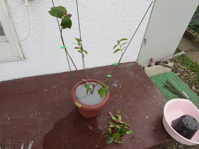 ファイル 12-5.jpg