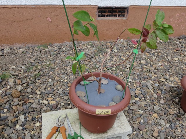 ファイル 12-7.jpg