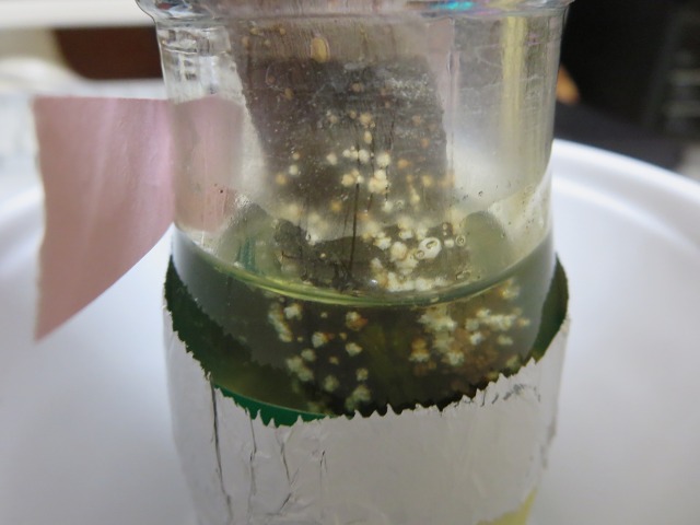 ファイル 120-1.jpg