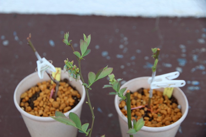 ファイル 123-4.jpg