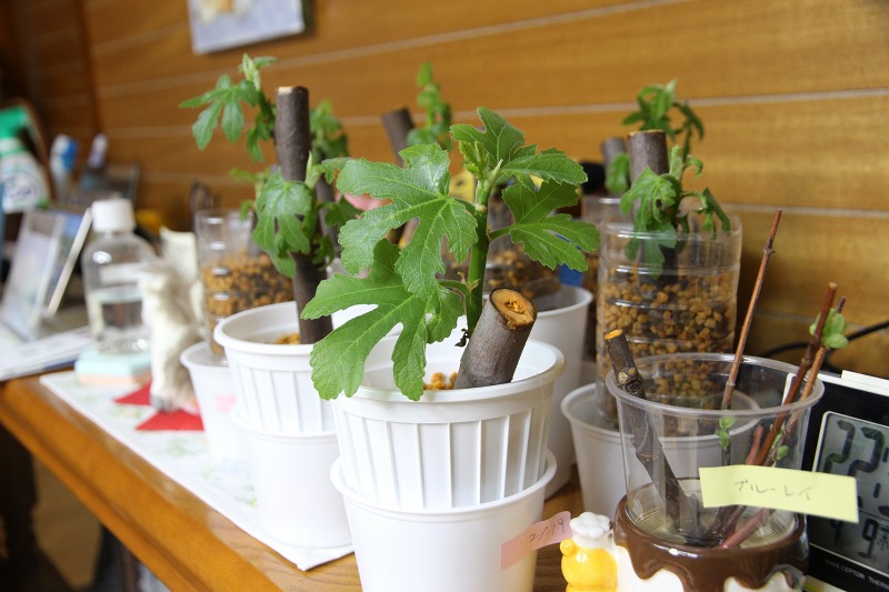 ファイル 123-5.jpg