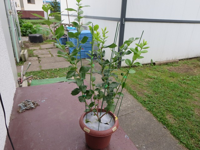 ファイル 14-2.jpg