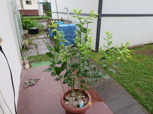 ファイル 14-5.jpg