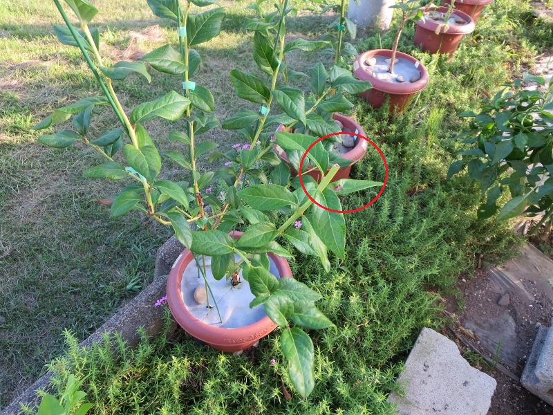 ファイル 16-4.jpg