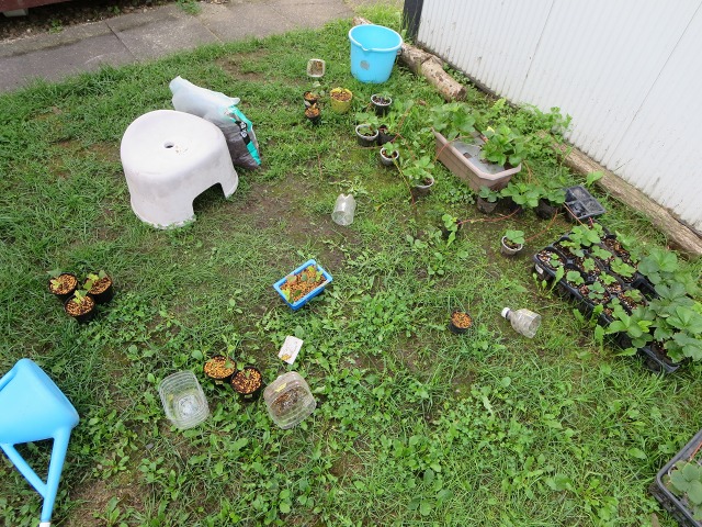 ファイル 22-1.jpg