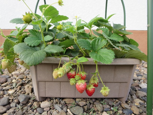 ファイル 22-5.jpg