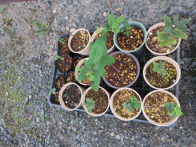 ファイル 22-7.jpg