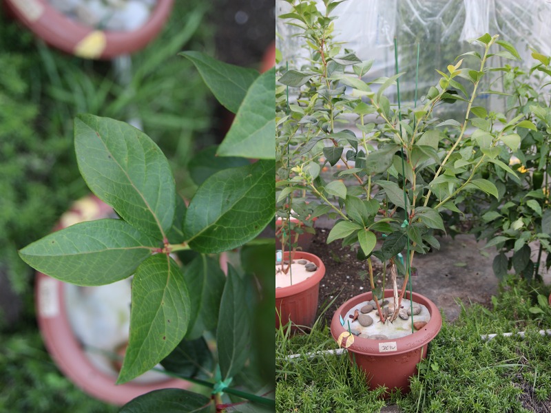 ファイル 25-3.jpg