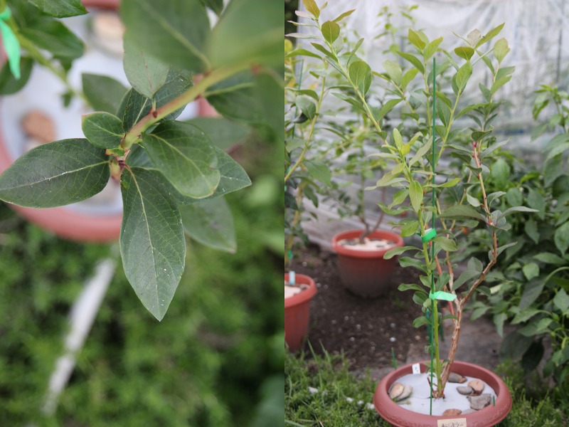 ファイル 25-7.jpg