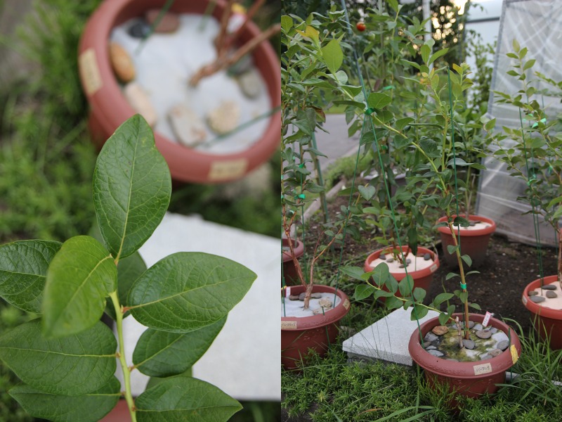 ファイル 25-9.jpg