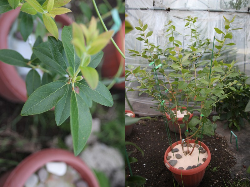 ファイル 26-3.jpg