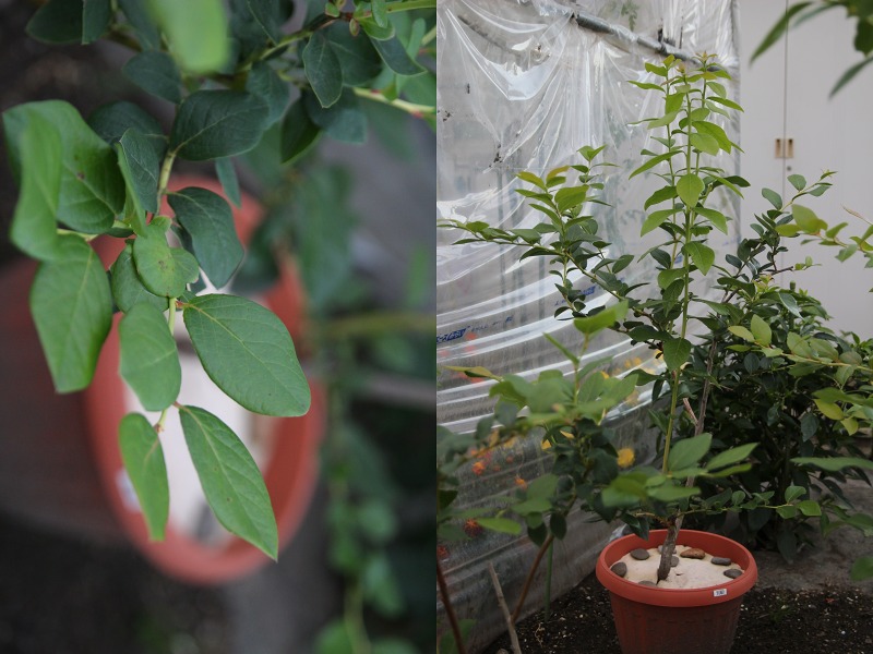 ファイル 26-6.jpg