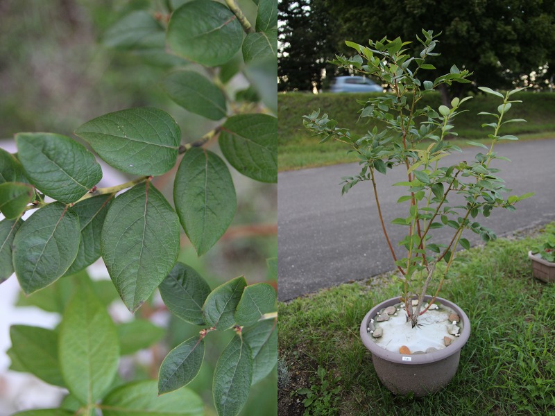 ファイル 26-7.jpg