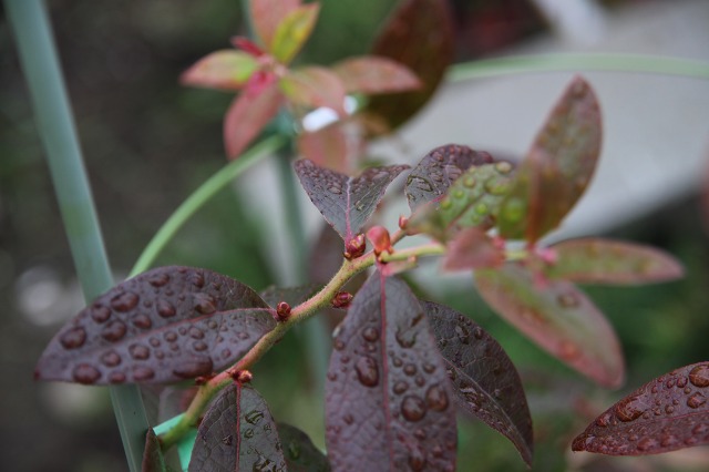 ファイル 27-5.jpg