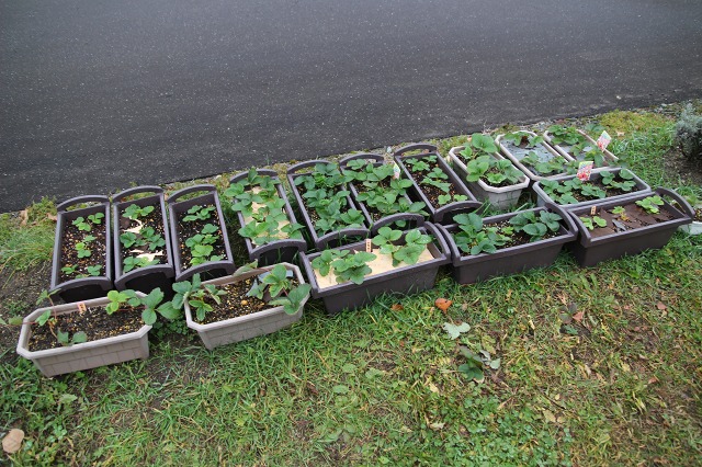 ファイル 27-7.jpg