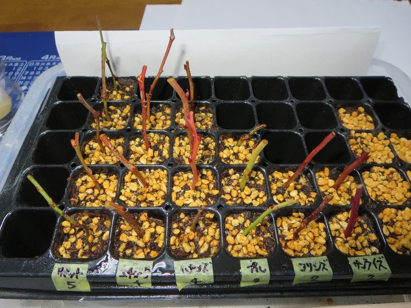 ファイル 30-7.jpg