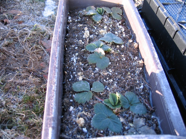 ファイル 34-2.jpg