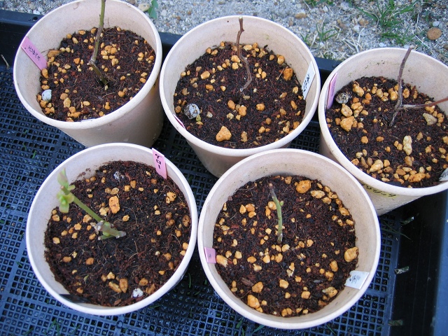 ファイル 41-4.jpg