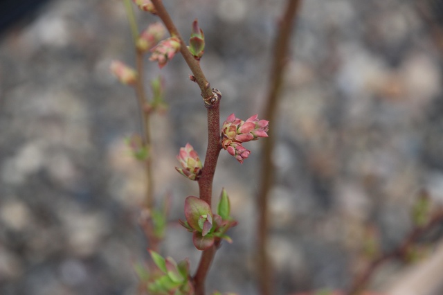 ファイル 42-5.jpg