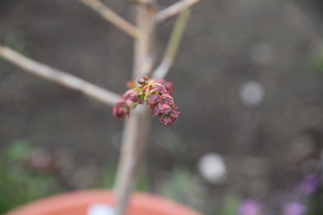 ファイル 42-7.jpg