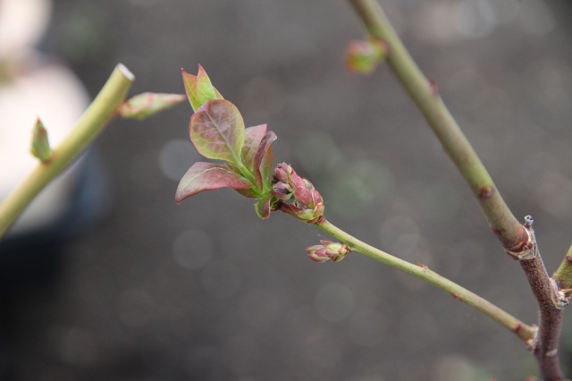 ファイル 42-9.jpg