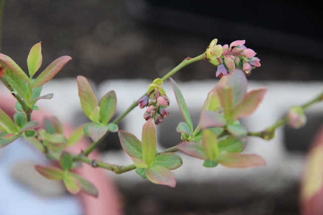 ファイル 43-5.jpg