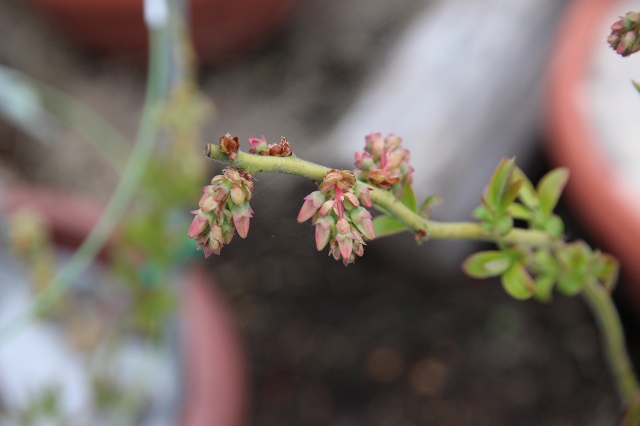 ファイル 43-6.jpg