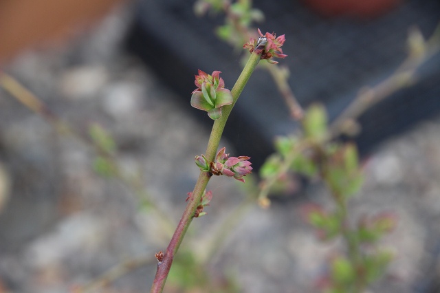 ファイル 43-7.jpg