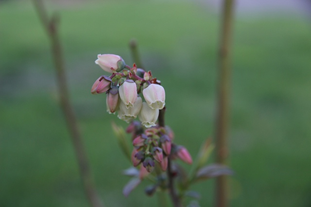 ファイル 47-1.jpg