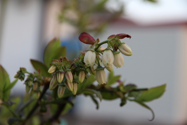 ファイル 47-3.jpg