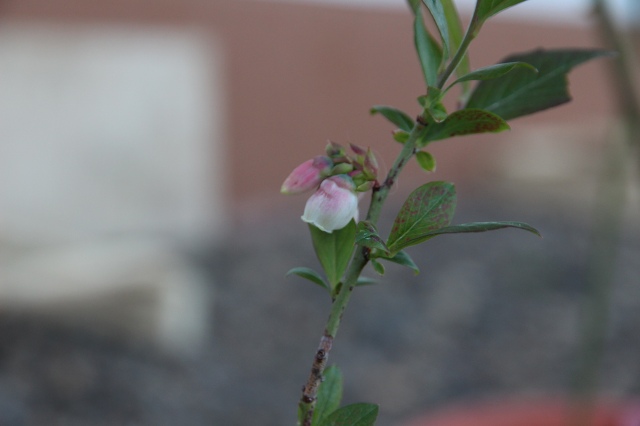 ファイル 47-4.jpg