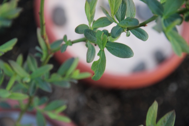 ファイル 47-5.jpg