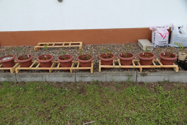 ファイル 48-3.jpg