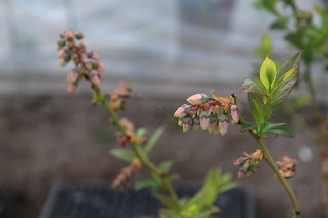 ファイル 48-5.jpg