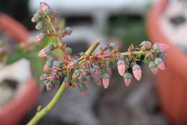 ファイル 48-6.jpg