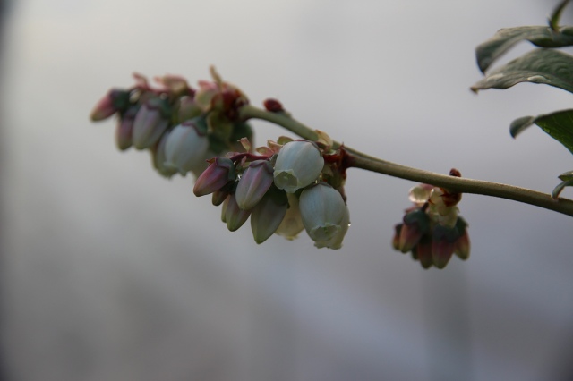 ファイル 50-1.jpg