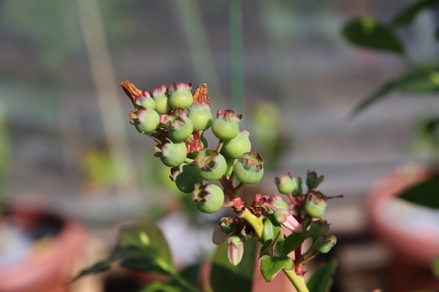 ファイル 52-3.jpg