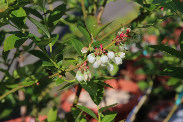 ファイル 52-4.jpg