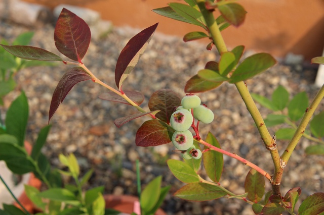 ファイル 54-2.jpg