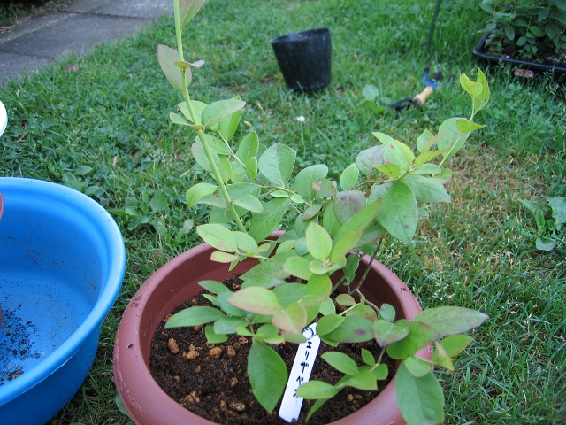 ファイル 55-2.jpg