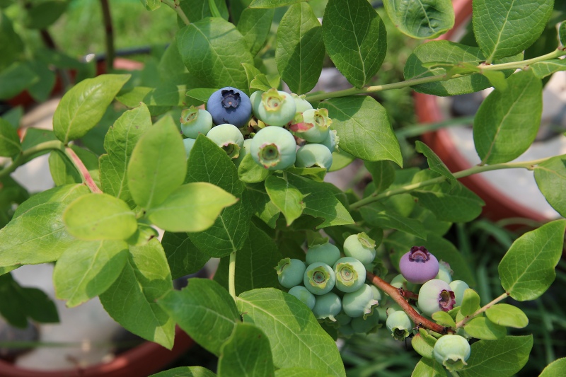 ファイル 57-1.jpg